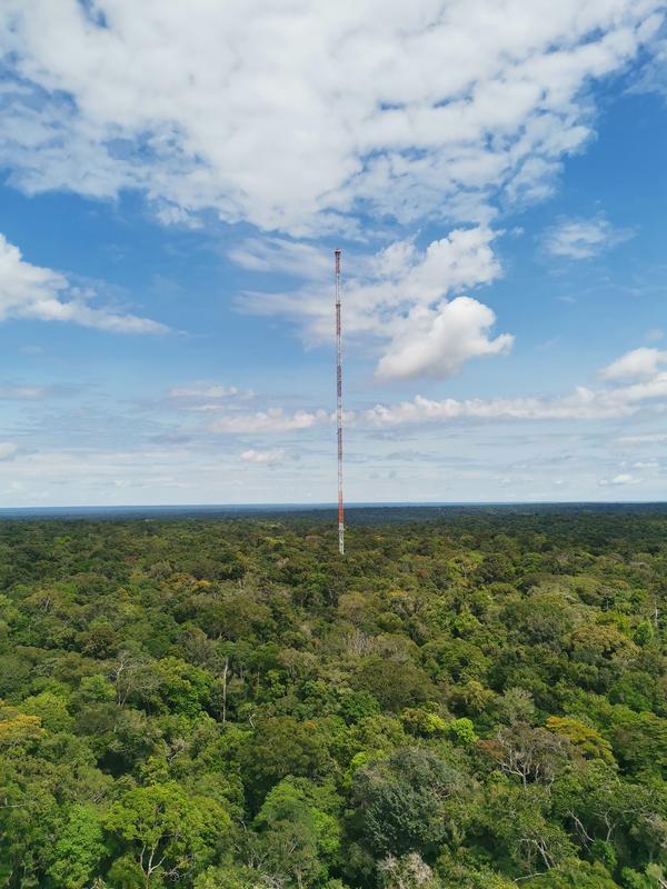ATTO-Turm im Amazonas-Regenwald