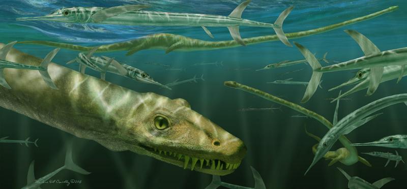 Die Künstlerin Marlene Donelly hat eine naturgetreue Illustration des Dinocephalosaurus orientalis angefertigt, der neben einem prähistorischen Fisch namens Saurichthys schwimmt. 