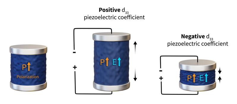 Der Effekt: Wenn E-Feld und Polarisation parallel sind, bedeutet ein positives d33, dass sich die Probe ausdehnt. Wird d33 negativ, zieht sich die Probe zusammen. 