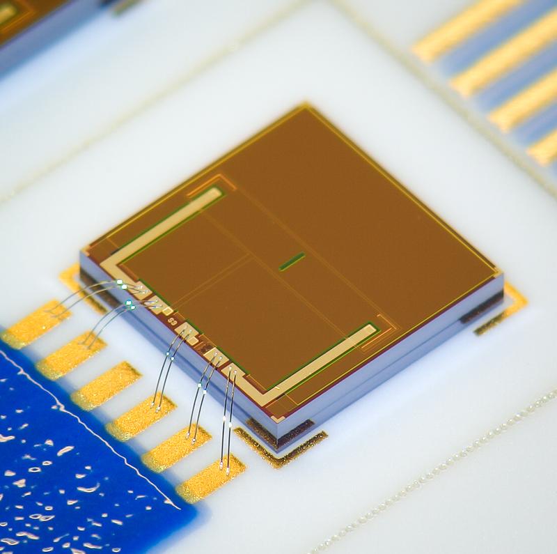 ISFET sensor chip from Fraunhofer IPMS