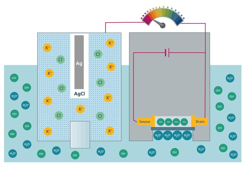 Simplified illustration of an ISFET with an Ag / AgCl reference electrode