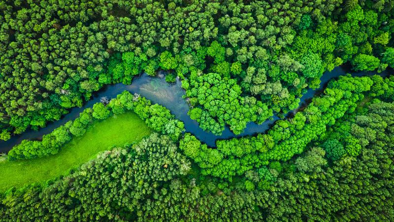 Fluss-Ökosysteme in Europa: UDE-Prof. Florian Leese erforscht sie.