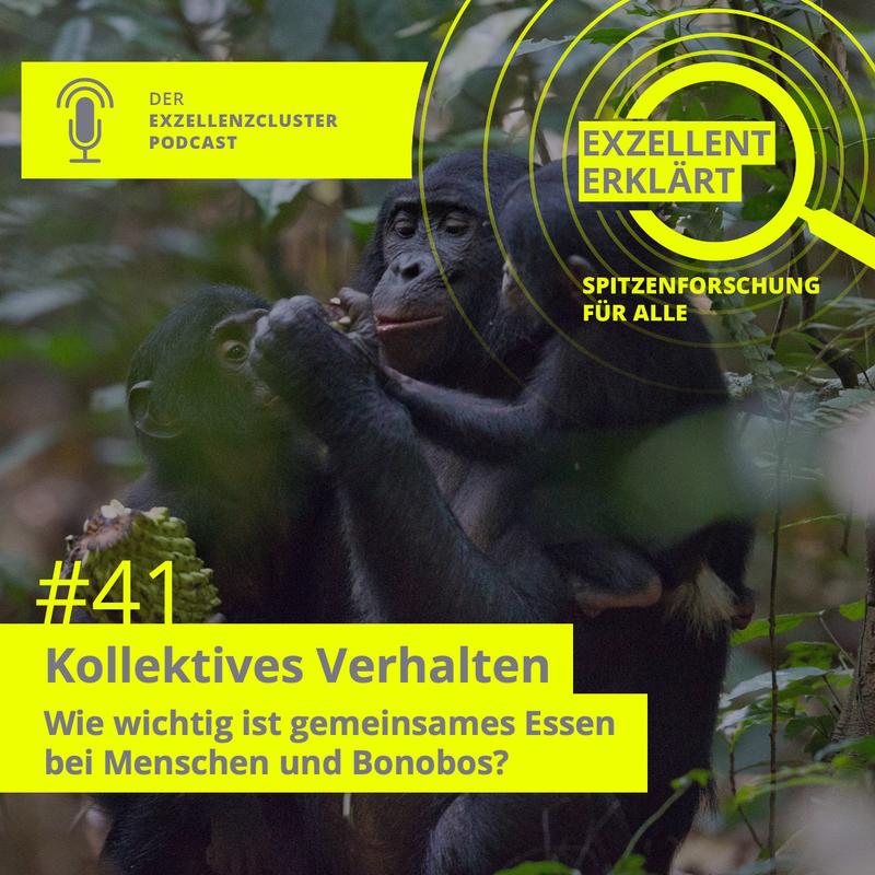 Podcastcover Exzellent erklärt