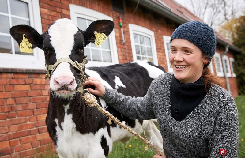 The FBN conducts research into responsible and resource-conserving livestock farming of the future.