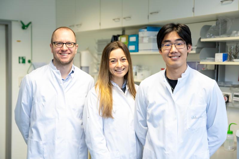Neue Erkenntnisse zum Immunsystem: (v. li) Prof. Dirk Baumjohann, Luisa Bach und Dr. Yinshui Chang klären Rätsel um die Entstehung von Follikulären T-Helferzellen auf.