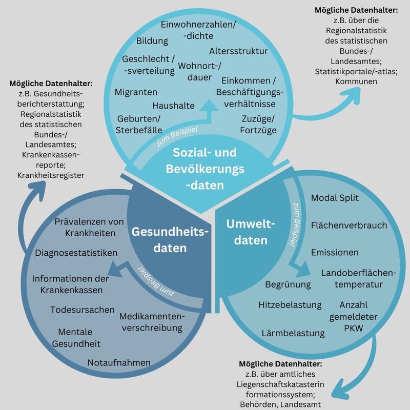 Übersicht über Datenkategorien, Daten und mögliche Datenhalter im Kontext von sozialmedizinischen Fragestellungen