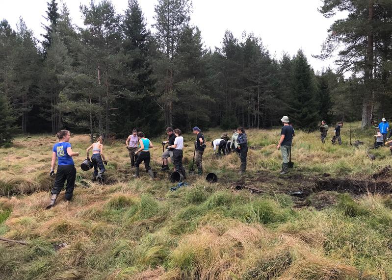 Renaturierungsarbeiten im Böhmerwald, durchgeführt 2022 bei einer früheren internationalen Summer School in Tschechien