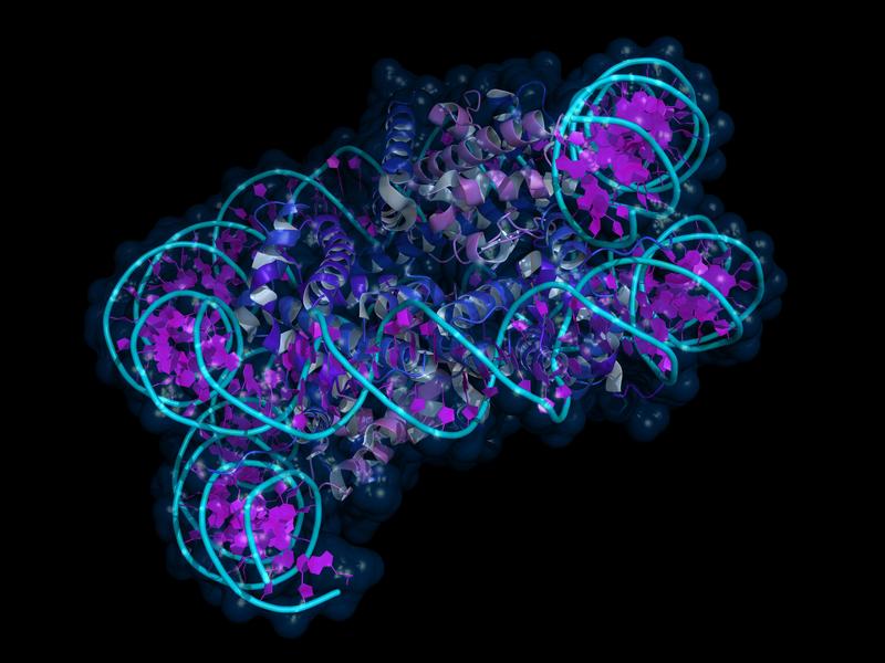 Nucleosome