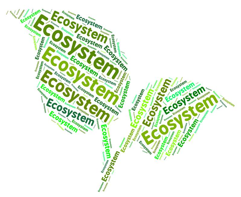 Is it possible to evaluate the benefits and value of ecosystems? 