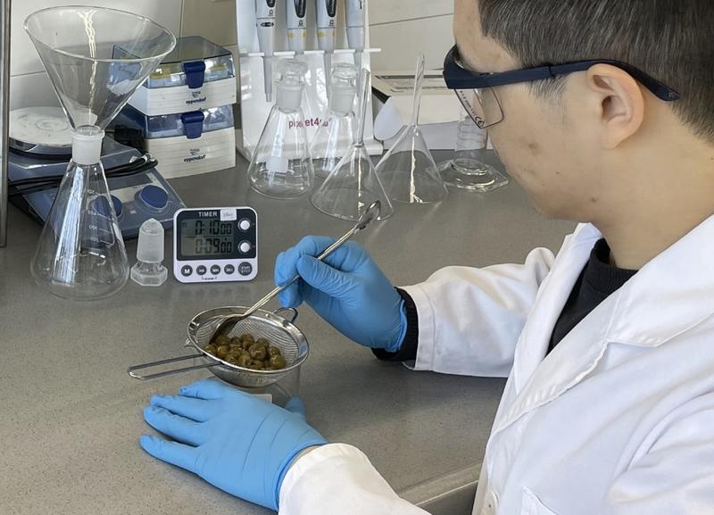 Xingjie Wang working in the lab