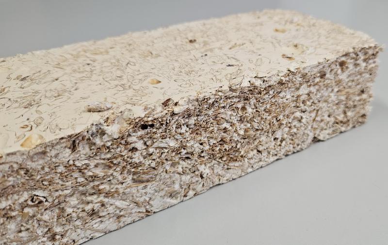 Mycelium-based composite material (25 x 9 x 5.5 cm) made from straw, husks and starch. The biogenic substrate was 3-dimensionally intergrown and bound by the mycelium of the fungus Ganoderma resinaceum and the composite was then heat-dried and sanded.