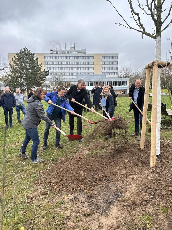 Unterstützen mit vollem Einsatz den HHN-Klimawald: Finanzstaatssekretärin Gisela Splett, Professor Roland Pfennig, Rektor Oliver Lenzen, Gudula Achterberg MdL und Frank Berkenhoff, Leiter von Vermögen und Bau Heilbronn (v.l.n.r.).