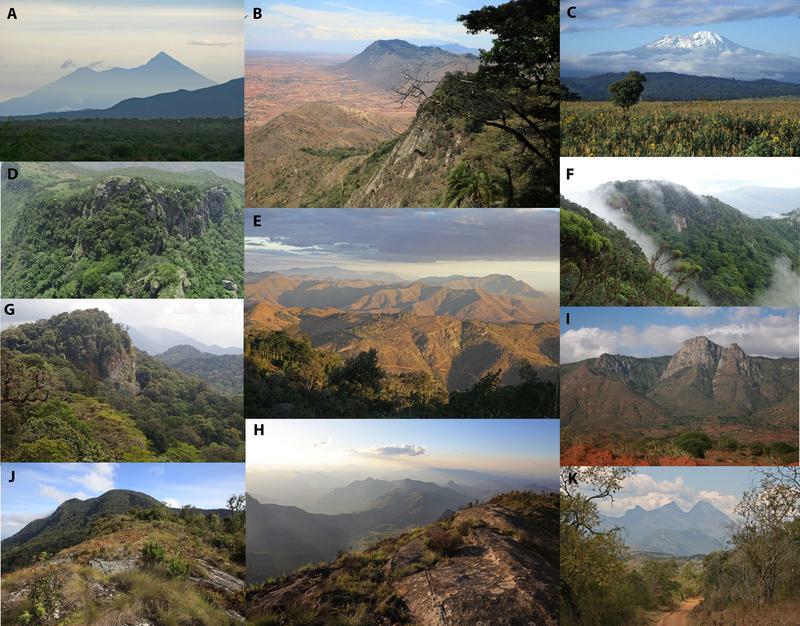 The Tanzanian mountains studied.