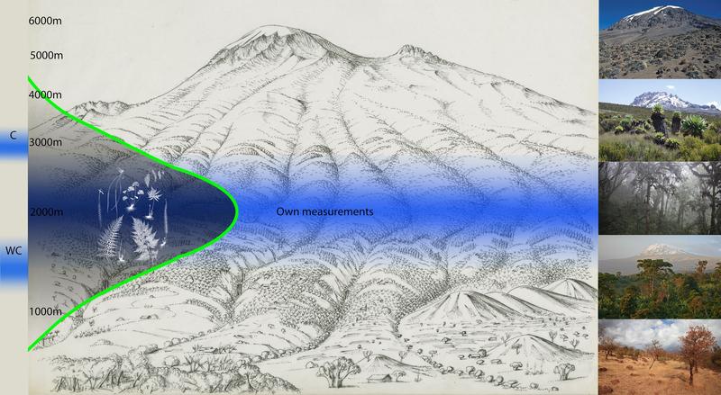 Comparison of measured and modelled precipitation maxima with regard to their explanatory value for biological questions on Kilimanjaro. 