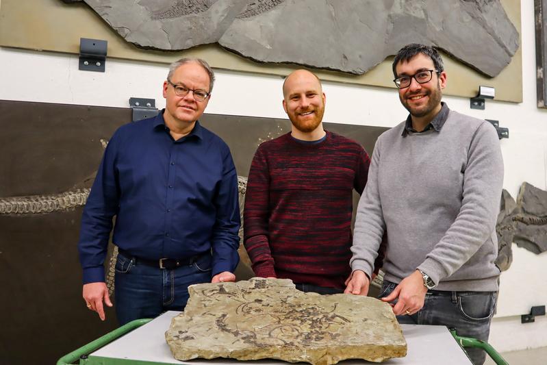 Prof. Dr. Rainer Schoch (links), Dr. Stephan Spiekman, Dr. Eudald Mujal (rechts) in der Meeressaurier Sammlung des Naturkundemuseums Stuttgart mit dem Fossil von Trachelosaurus fischeri