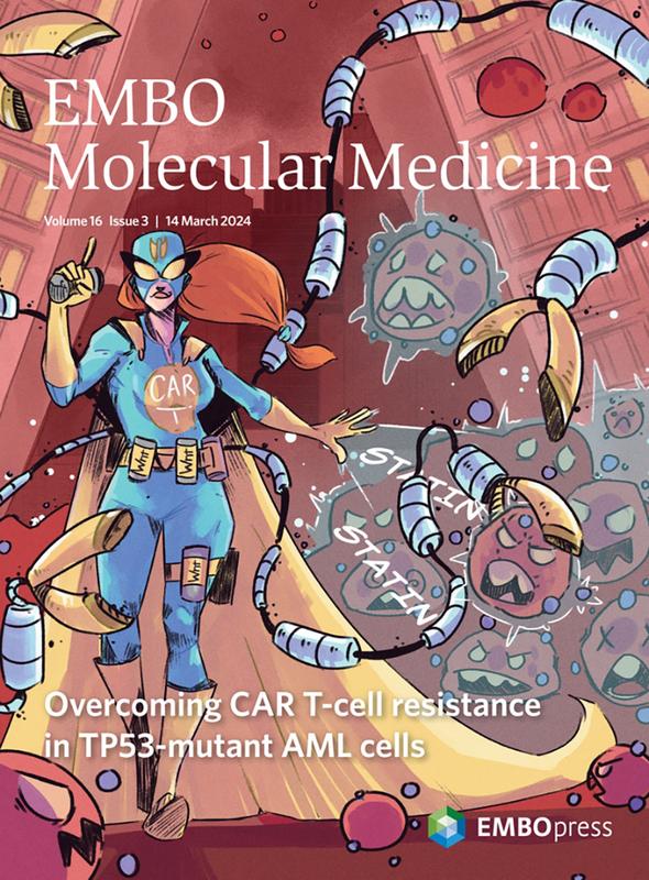 Die Illustration im Comicstil zeigt die CAR-T-Zell-Heldin, wie sie TP53-mutierte Leukämiezellen besiegt. (Cover «EMBO Molecular Medicine», Volume 16 Issue 3, 14 March 2024)