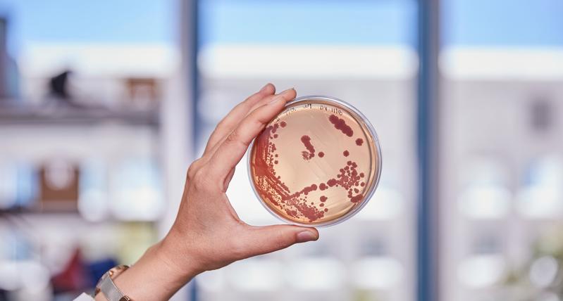   Bakterien sind eine als Quelle molekularer „Fliessbänder“, die zur Produktion neuer Wirkstoffe genutzt und optimiert werden können.   