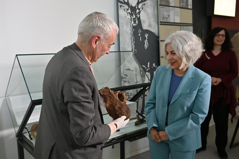 Ein Gewinn für die Archäologischen Sammlungen Niedersachsens: Sammler Dick Schlüter übergibt Funde aus der Zeit des Neandertalers an das Landesmuseum Natur und Mensch Oldenburg