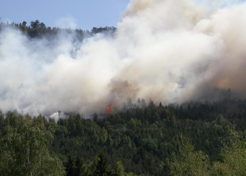 Waldbrände sind vor allem in trockenen Sommern und bei Dürrelagen ein buchstäblich heißes Thema. Moderne Technologien und Datensysteme ermöglichen bessere Prävention.
