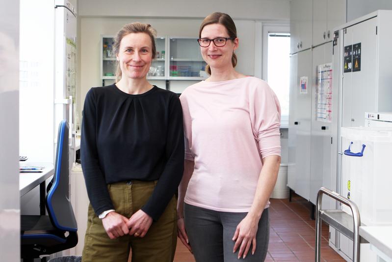 Prof. Eva Stukenbrock (li.), Prof. Jennifer Selinski und die Wissenschaftlerinnen und Wissenschaftler der FOR 5640 erforschen die Folgen von Klimawandel und Umweltstress auf die Pflanzengesundheit.