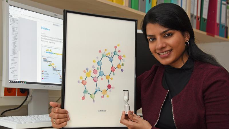 Dr. Aishwarya Iyer-Bierhoff hat eine molekulare „Sanduhr“ für die Cortisol-Wirkung entdeckt.