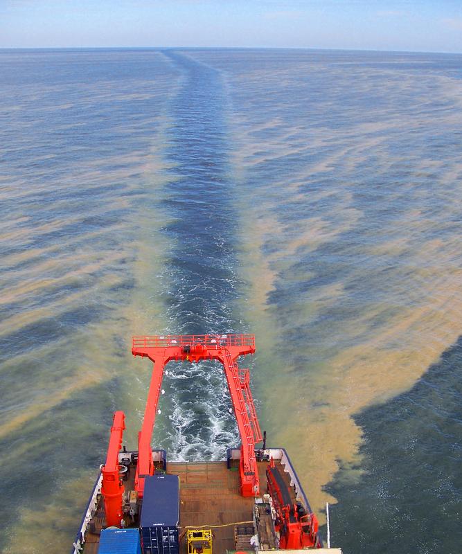 Large-scale blue-green algae blooms, as observed here from aboard the research vessel Meteor, are occurring with increasing frequency in the central Baltic Sea. They are significantly altering the food webs higher organisms.