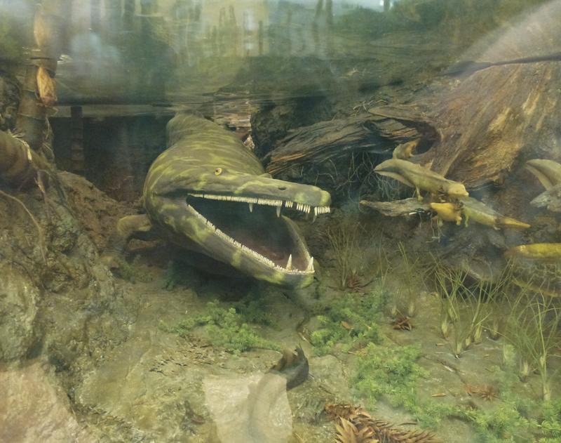 Mastodonsaurus, das größte Amphibium der Erdgeschichte.