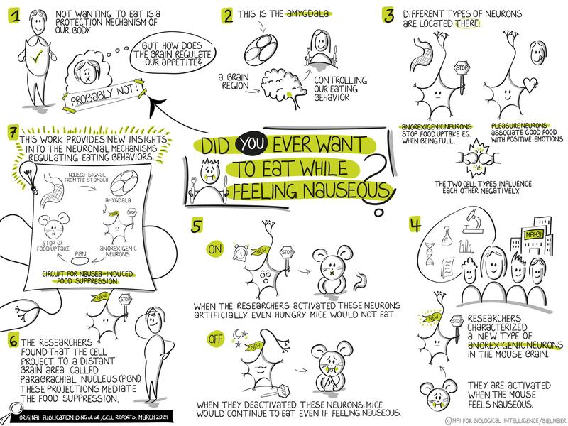 This Sketchnote summarizes the most important findings of the new paper.
