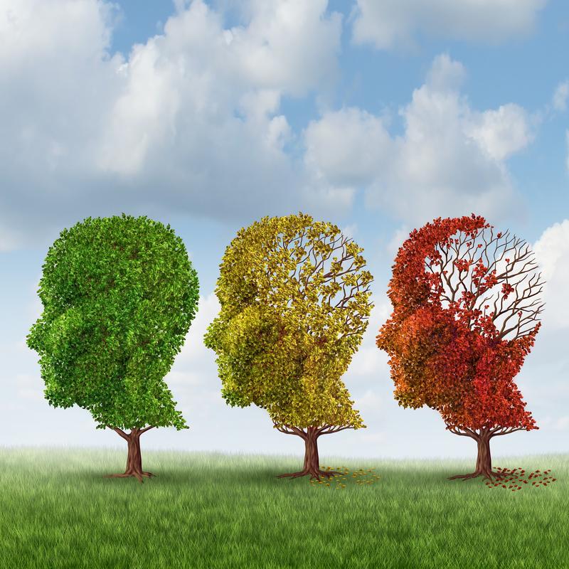 Altern des Gehirns. Da sich Nervenzellen im Laufe des Lebens nicht erneuern, nimmt ihre Funktionalität während des Alterns ab – ein Risikofaktor für neurodegenerative Erkrankungen wie Alzheimer.