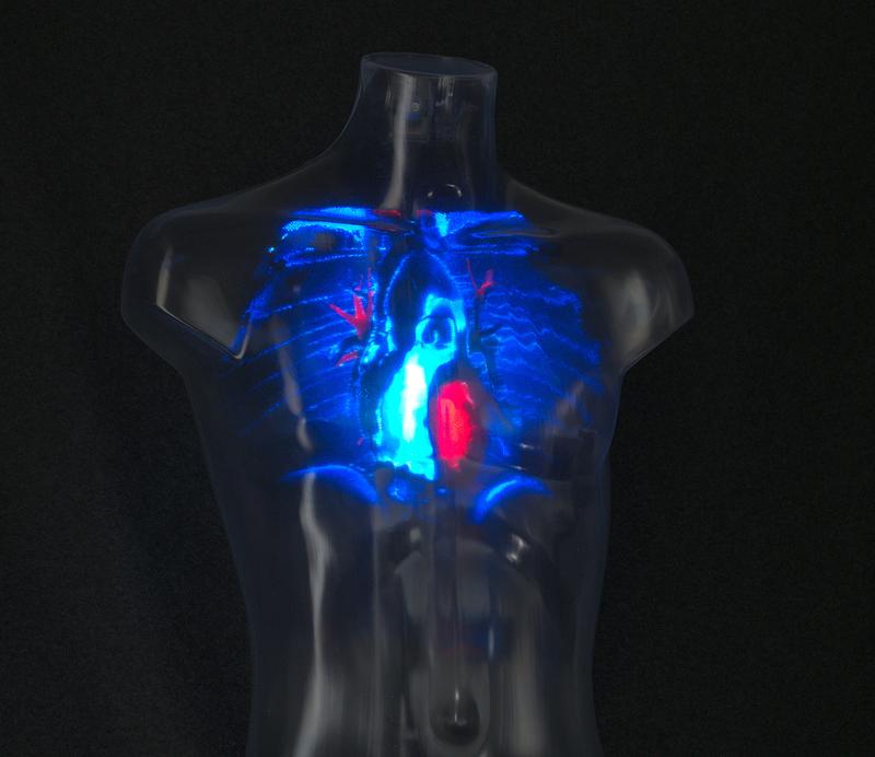 Hingucker auf der Messe ist das durchsichtige Model eines menschlichen Torsos, in den MRT-Bildsequenzen und 3D-Animationen projiziert werden können, um klinische Fragestellungen anschaulich darzustellen. 