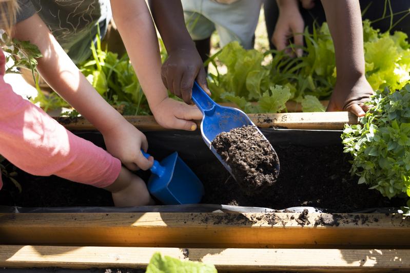 So sieht Bildung für Nachhaltige Entwicklung im Kindergarten aus.