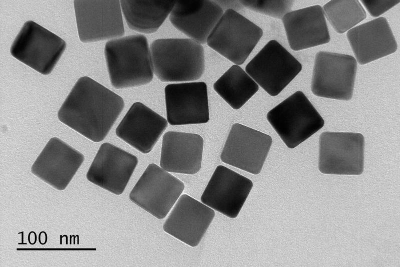 SEM-Aufnahme von Edelmetall-Nanoröhrchen