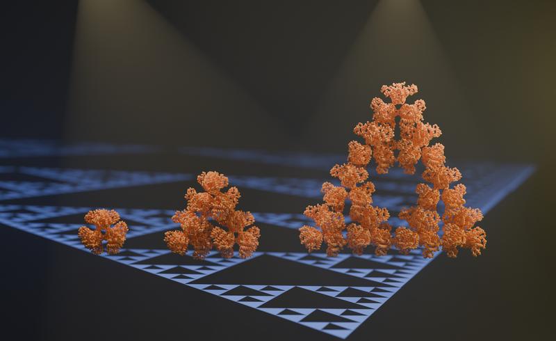 Ein mikrobielles Enzym, eine Citrat-Synthase, ist das erste bekannte molekulare Fraktal. Es handelt sich um ein sogenanntes Sierpinski-Dreieck.