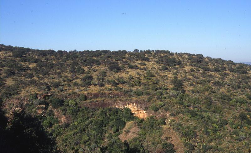 Im südafrikanischen Makapan Valley wurden Fossilien früher Homininen gefunden. 
