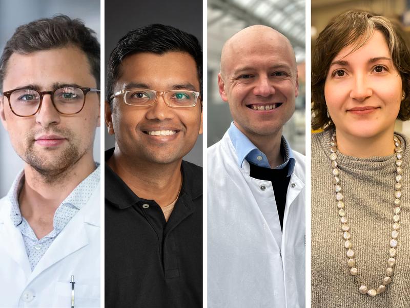 DKMS John Hansen Research Grant Stipendiat:innen: (v.l.n.r.) Tobias Wertheimer, MD, Senthil Bhoopalan, MD, PhD, Livius Penter, MD, Nicoletta Cieri, MD, PhD