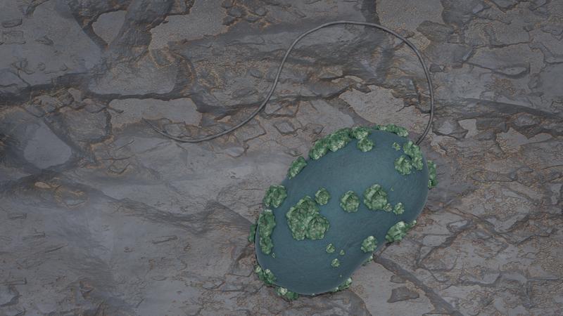 Abbildung einer Desulfosporosinus-Zelle mit immobilisiertem Uran auf der Oberfläche