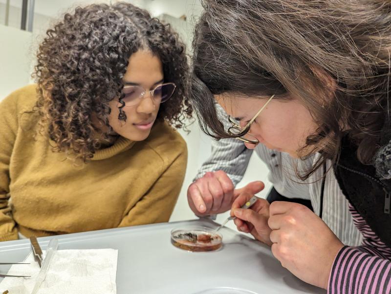 n the laboratory at GEOMAR, the participants of the GAME project 2024 analysed algae samples in preparation for their experiments.