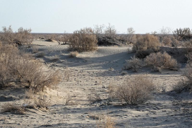 At around 60,000 square kilometres, the Aralkum Desert is now considered one of the most significant man-made dust sources on Earth.