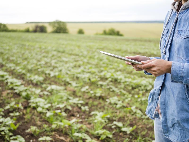 Das JKI sucht Landwirtinnen und Landwirte, die sich an der Befragung zu Pflanzenschutzstrategien im Weizen- und Kartoffelanbau beteiligen.