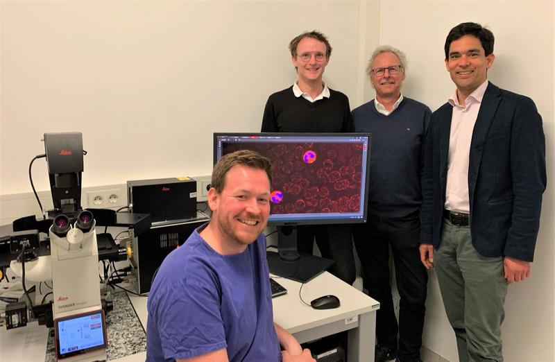 An der Studie beteiligte Forscher am Fluoreszenzmikroskop mit aktiven MMP-9 positiven Entzündungszellen aus einem betroffenen Hirngefäß (v.l.n.r.): Alexander Kollikowski, Michael Schuhmann, Guido Stoll und Mirko Pham.