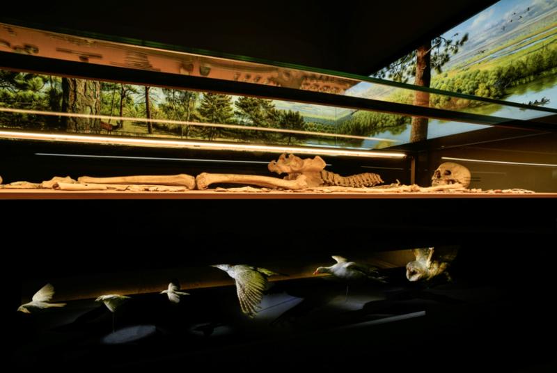 The grave of the “Shaman“ of Bad Dürrenberg in the redesigned exhibition room.