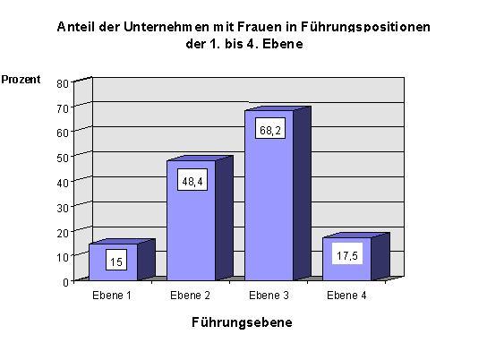 Ebene 1: Geschäftsführer, Betriebsleiter