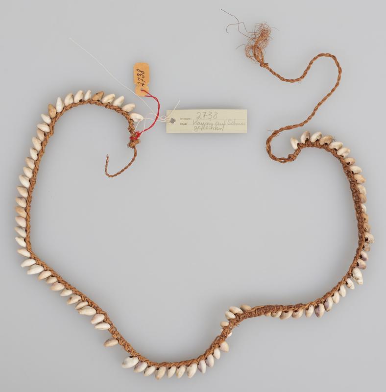 Schmuck aus auf eine Schnur geflochtenen Kauri-Schnecken, aus Ozeanien; Landesmuseum Natur und Mensch, Inv. Nr. 2738 