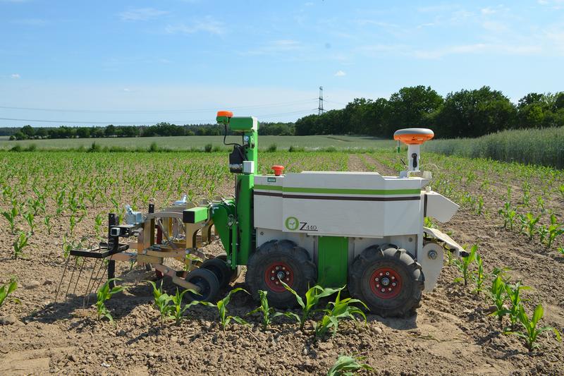 Wendige, leichte Agraroboter übernehmen im Landschaftslabor patchCROP einen Teil der Feldarbeiten – und ermöglichen einen Anbau, der die Biodiversität und Umwelt schont.