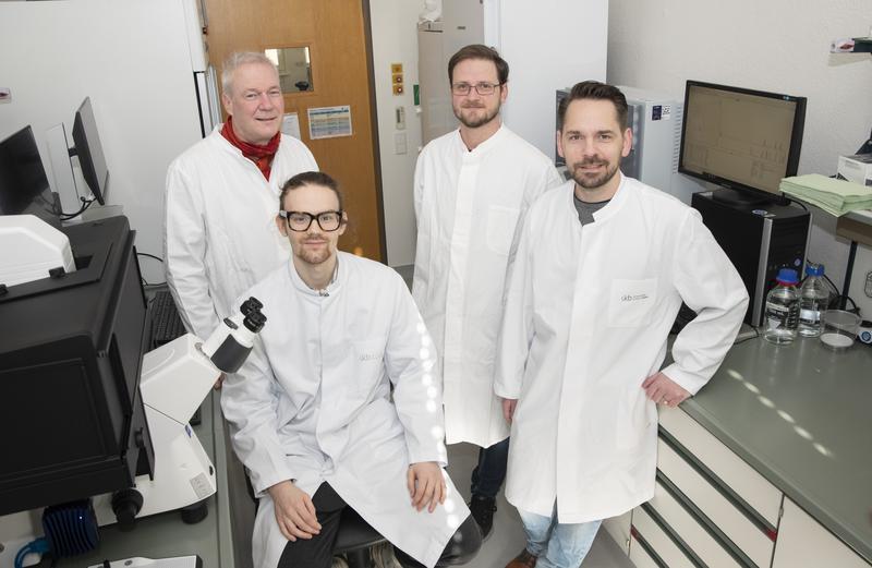 (from left to right) Prof. Ulrich Kubitscheck, Jan-Samuel Puls (front), Dominik Brajtenbach and Dr. Fabian Grein discover a new lantibiotic, namely epilancin A37, with a unique mechanism of action.