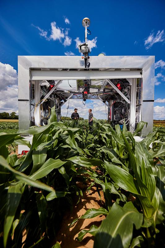 Auch der Einsatz von Robotern könnte die Landwirtschaft in Zukunft deutlich effizienter und umweltfreundlicher machen. 