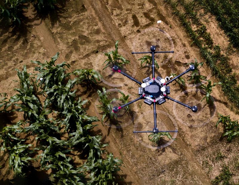 Among other things, researchers in the PhenoRob Cluster of Excellence at the University of Bonn are investigating the use of drones in agriculture. 