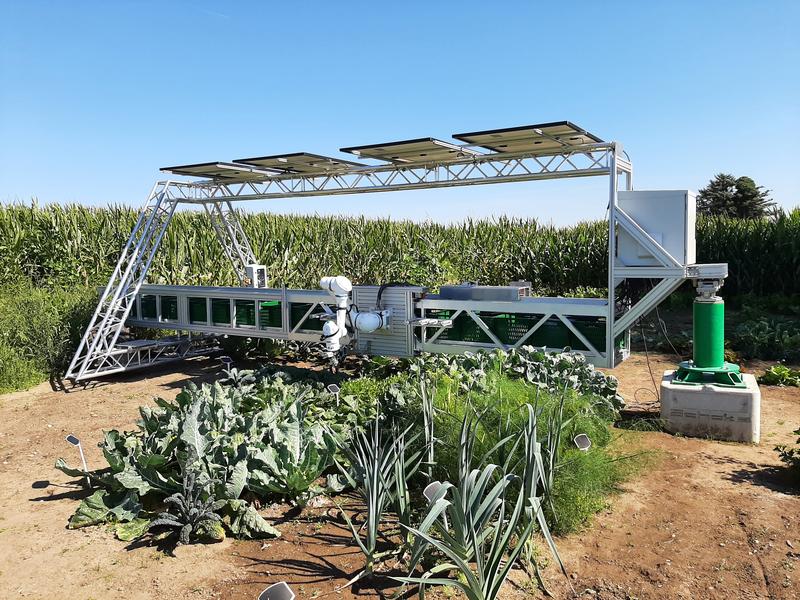 Gemüseproduktion mit Photovoltaik: der Agrarroboter „Davegi“ im Einsatz.