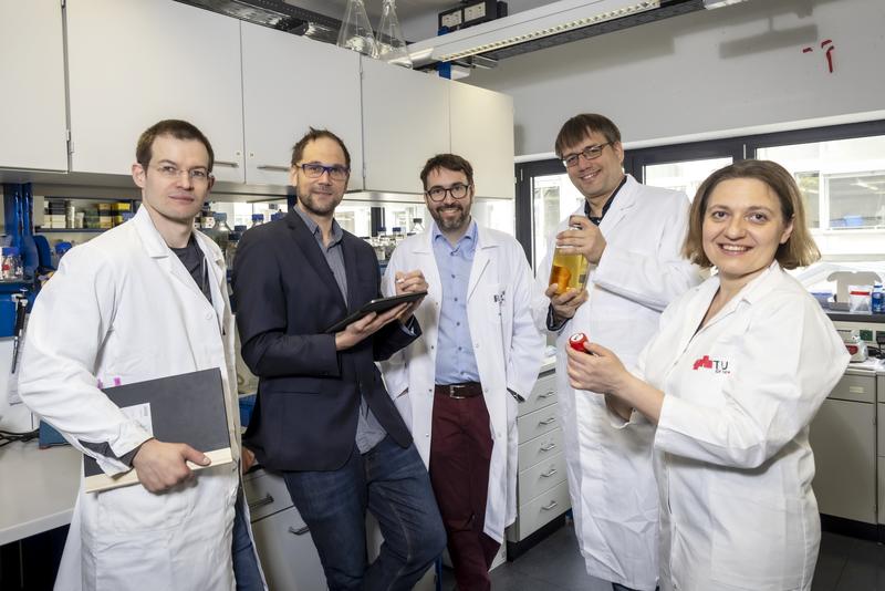 V.l.: Daniel Kracher, Robert Peharz, Gustav Oberdorfer, Robert Kourist und Regina Kratzer vom neuen Leadprojekt DigiBioTech an der TU Graz.