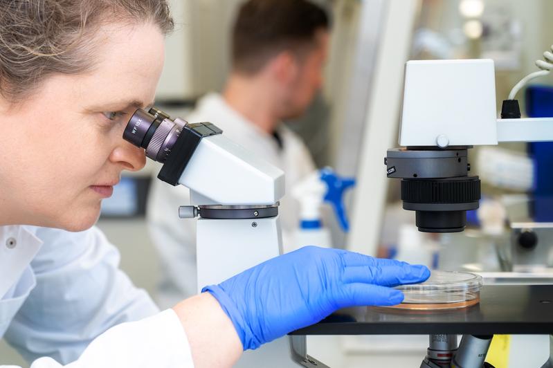 Dr. Stefanie Ruhs and Philipp Terpe in the lab at University Medicine Halle.